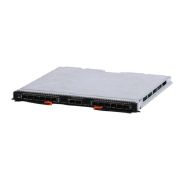 IBM 46M6181 10GB EN PASS-THRU Module for IBM BladeCenter EXPANSION Module