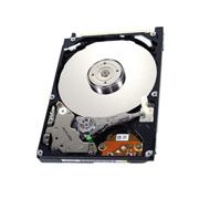 IBM 92P6119 Lenovo Travelstar 5K80 40GB 5400RPM ATA-100 8MB Cache 2.5-inch Hard Drive