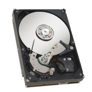 Dell 7J378 40GB 7200RPM ATA-100 3.5-inch Hard Drive
