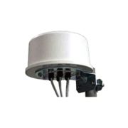 Extreme Networks ML-2452-HPA6X6-036 Dipole Antenna