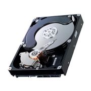 Western Digital WD3200AZDX-00SC2B0 Caviar Green 320GB 5400RPM SATA 6Gb/s 32MB Cache 3.5-inch Hard Drive