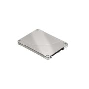 Western Digital WDS250G1B0A Blue 250GB Triple-Level Cell SATA 6Gb/s 2.5-inch Solid State Drive